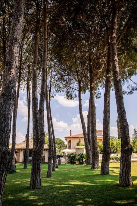 Villa Laoconte Piscina, Jacuzzi E Biliardo Canicatti Luaran gambar